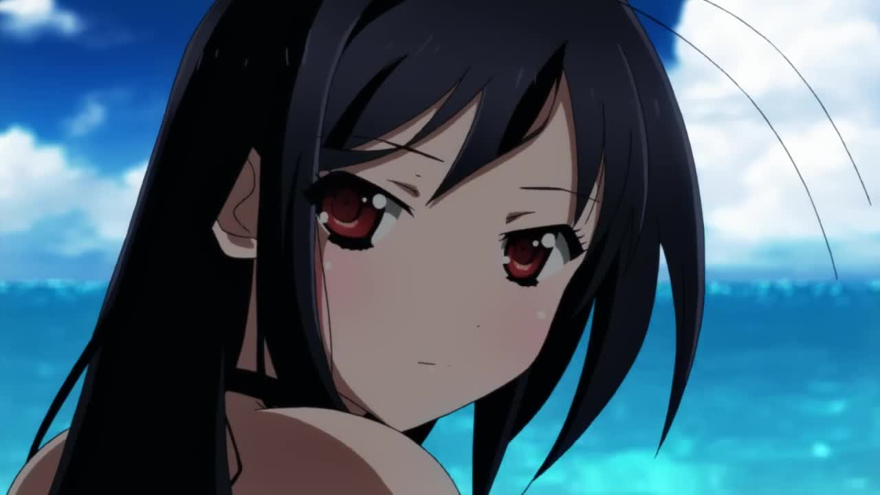 Accel World (Dub)