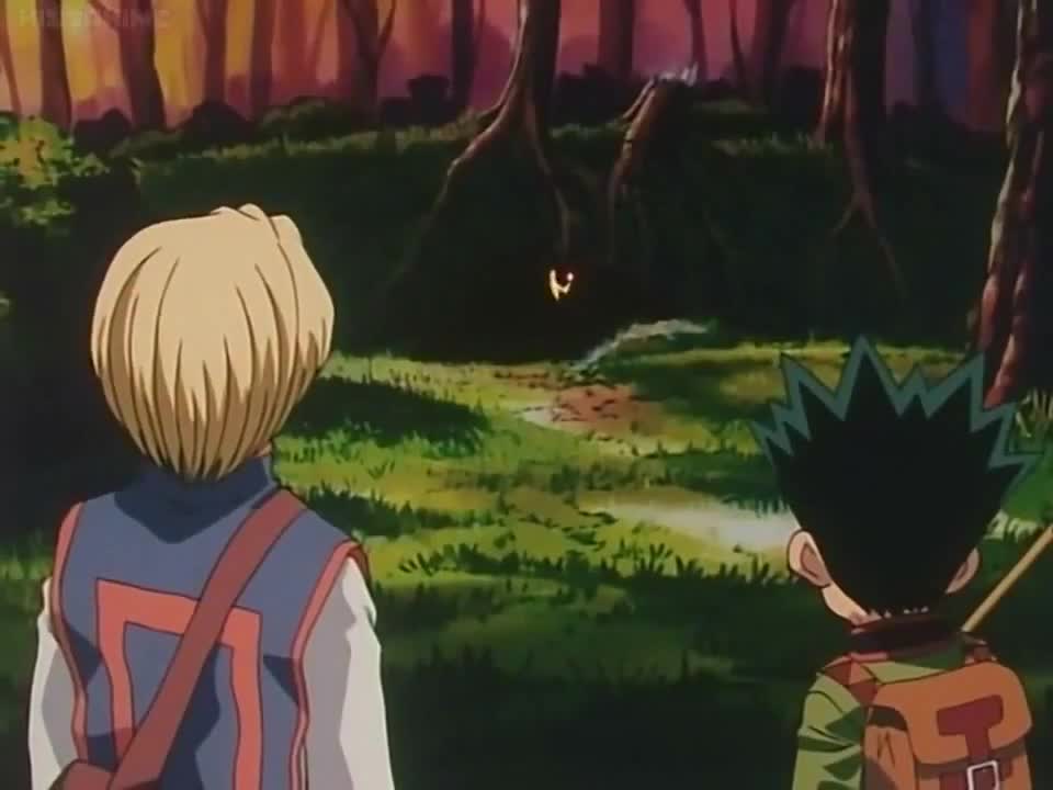 Hunter x Hunter (Dub)