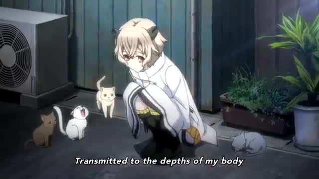 Tokyo Ravens