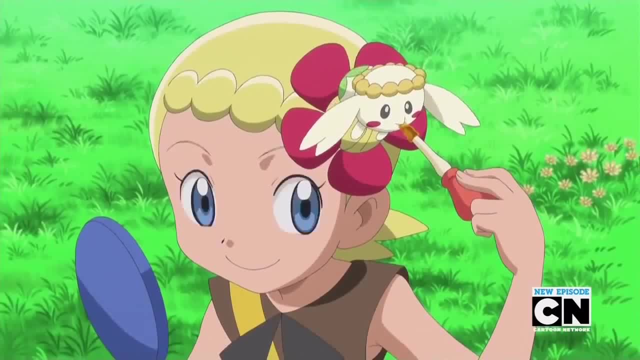 Pokemon XY (Dub)