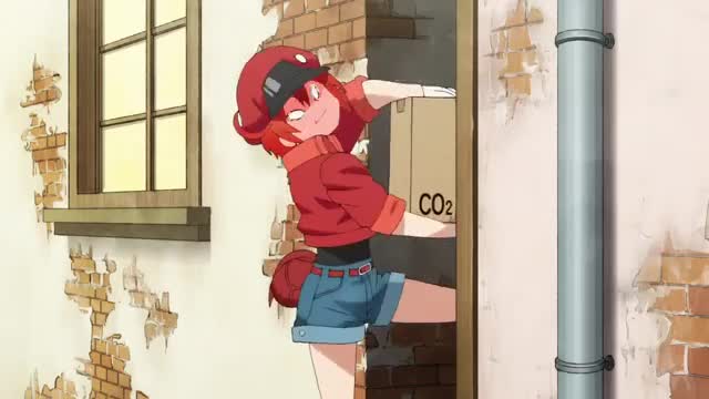 Hataraku Saibou