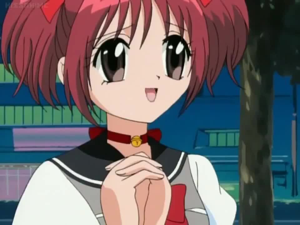 Tokyo Mew Mew (Dub)