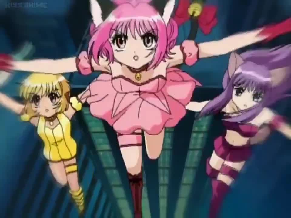 Tokyo Mew Mew (Dub)