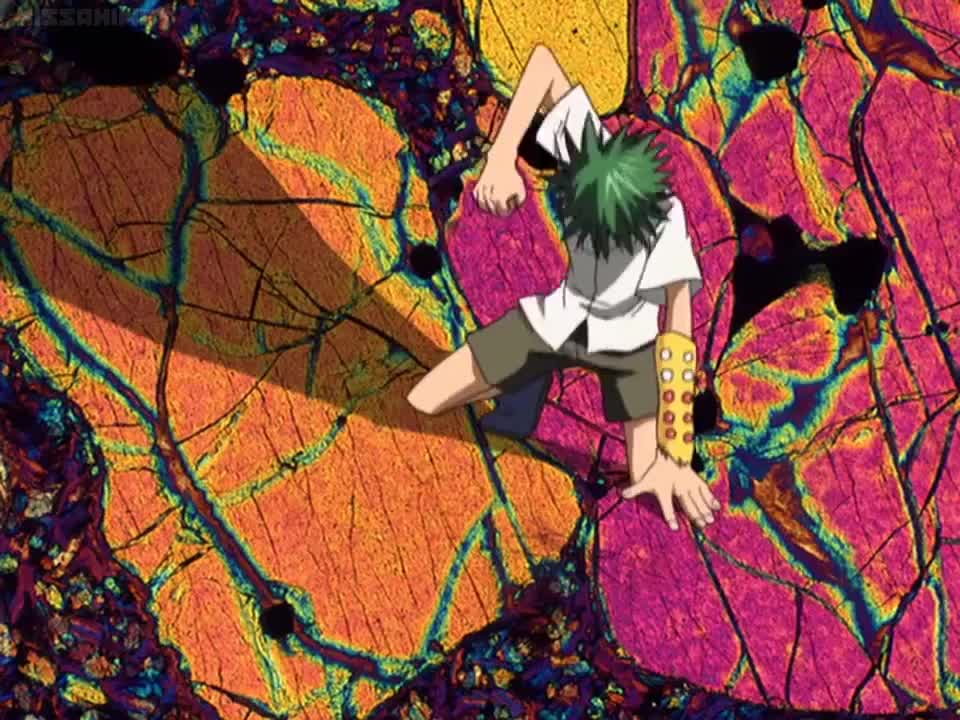 The Law of Ueki (Dub)