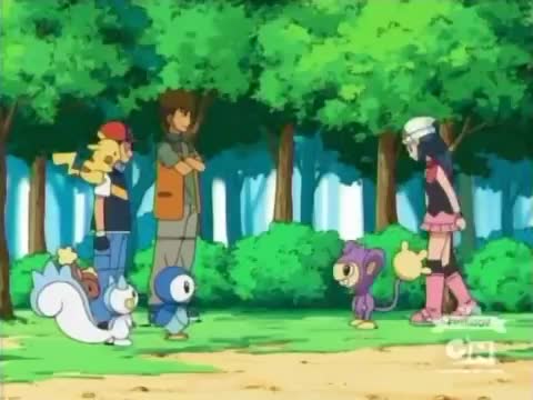 Pokemon Season 11: Battle Dimension