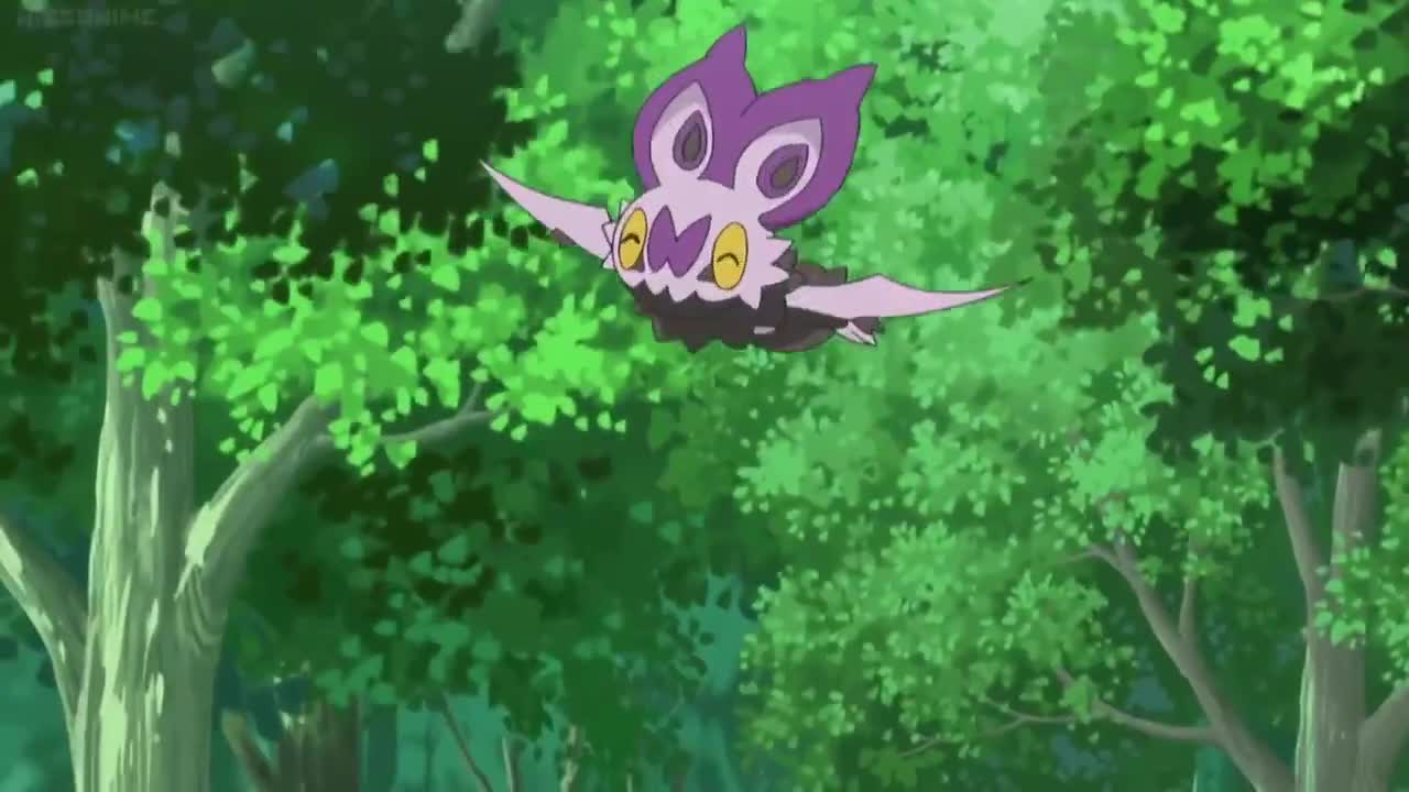 Pokemon XY&Z (Dub)