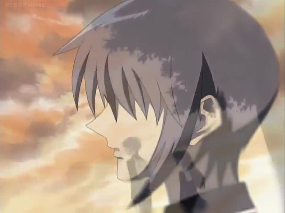 Fruits Basket (Dub)