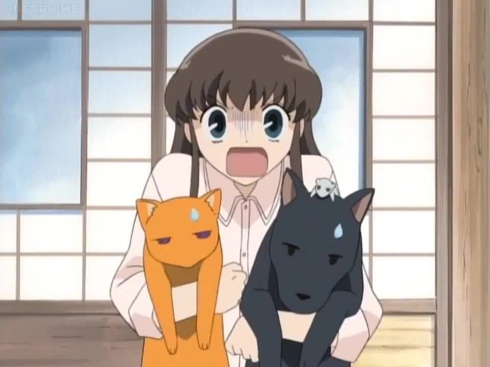 Fruits Basket (Dub)