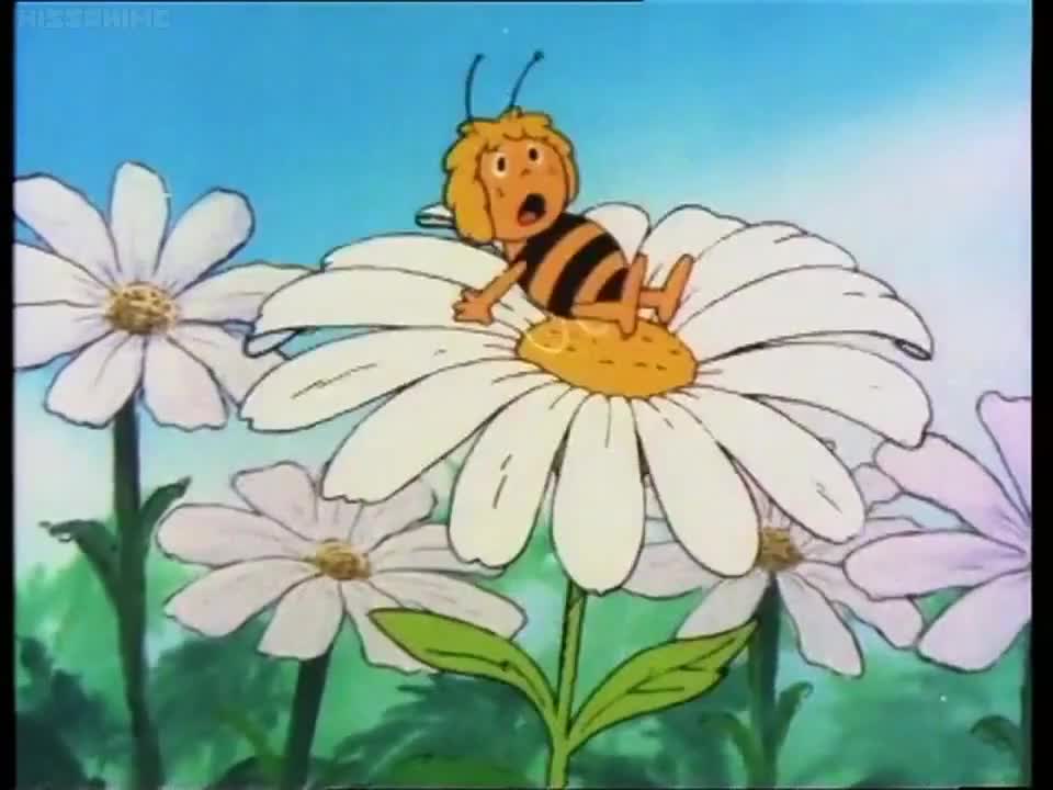 Maya the Bee 2nd Season (Dub)