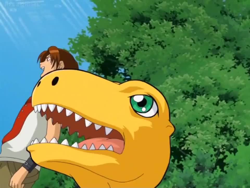 Digimon Savers (Dub)