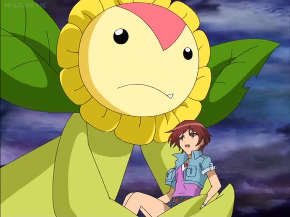 Digimon Savers (Dub)