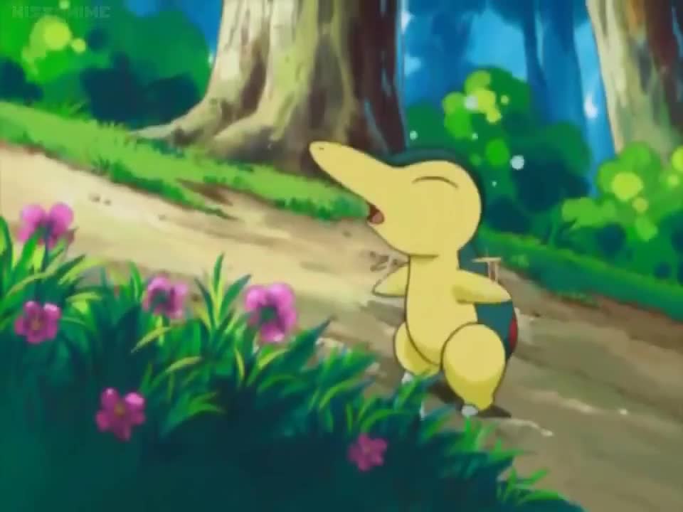 Pokemon Chronicles (Dub)