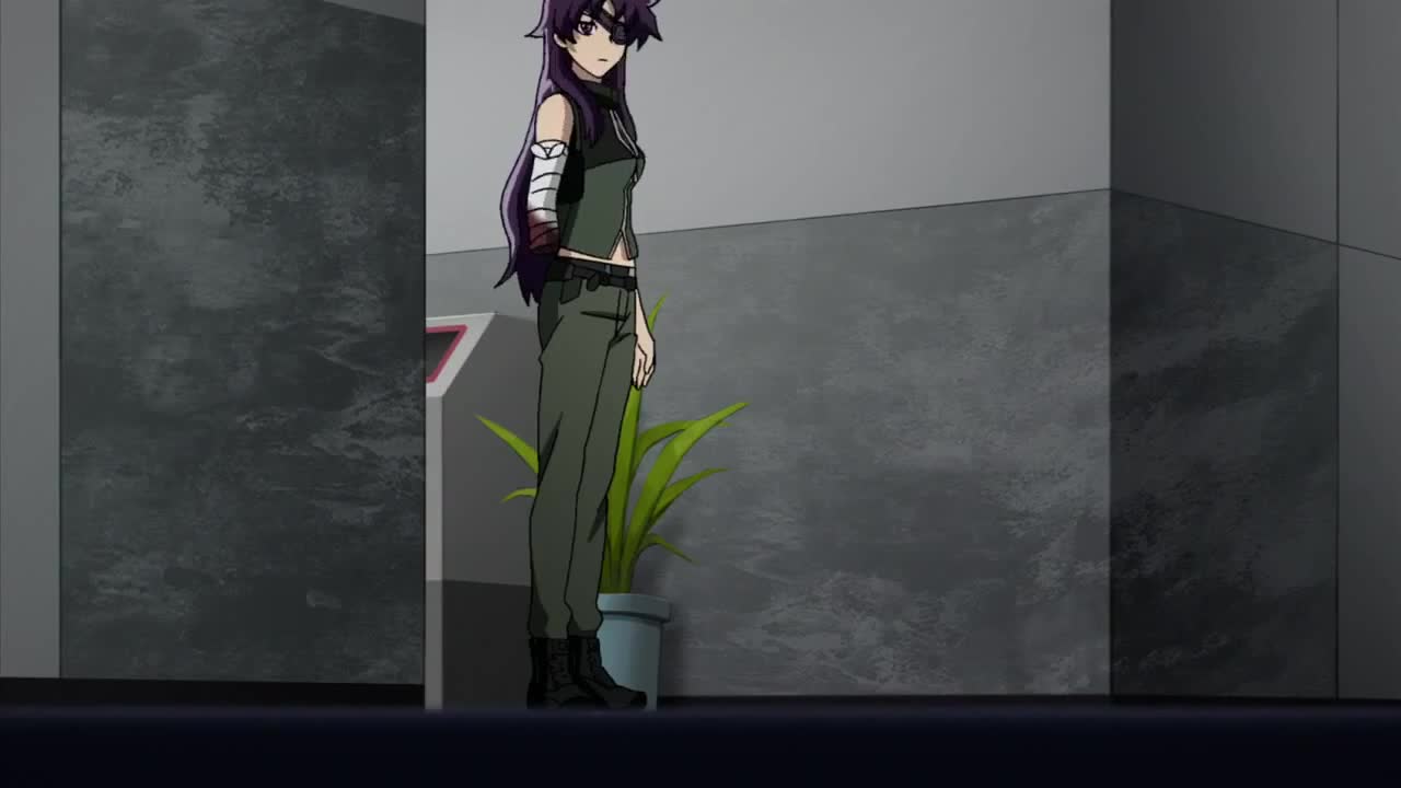 Mirai Nikki (TV) (Dub)