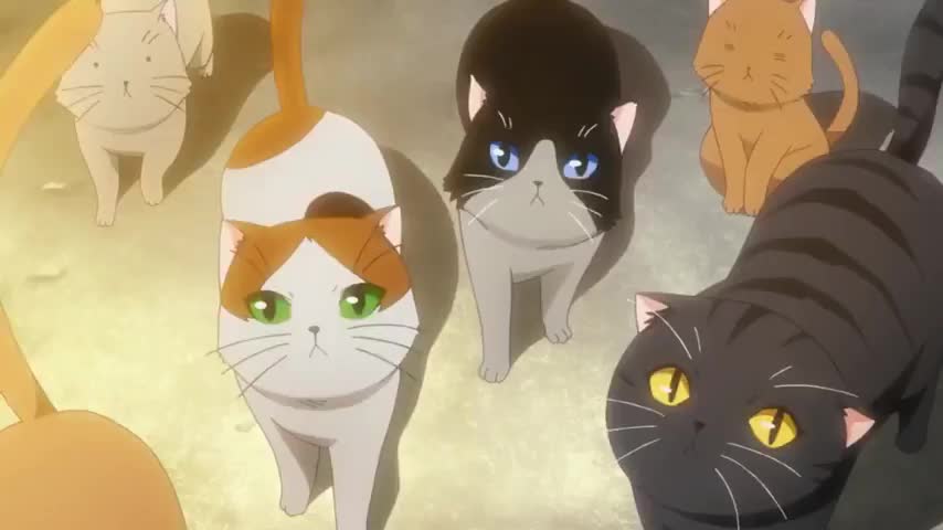 Nyan Koi! (Dub)