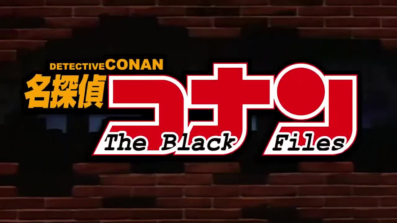 Detective Conan (Dub)