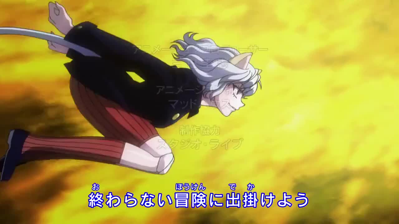 Hunter X Hunter 2011