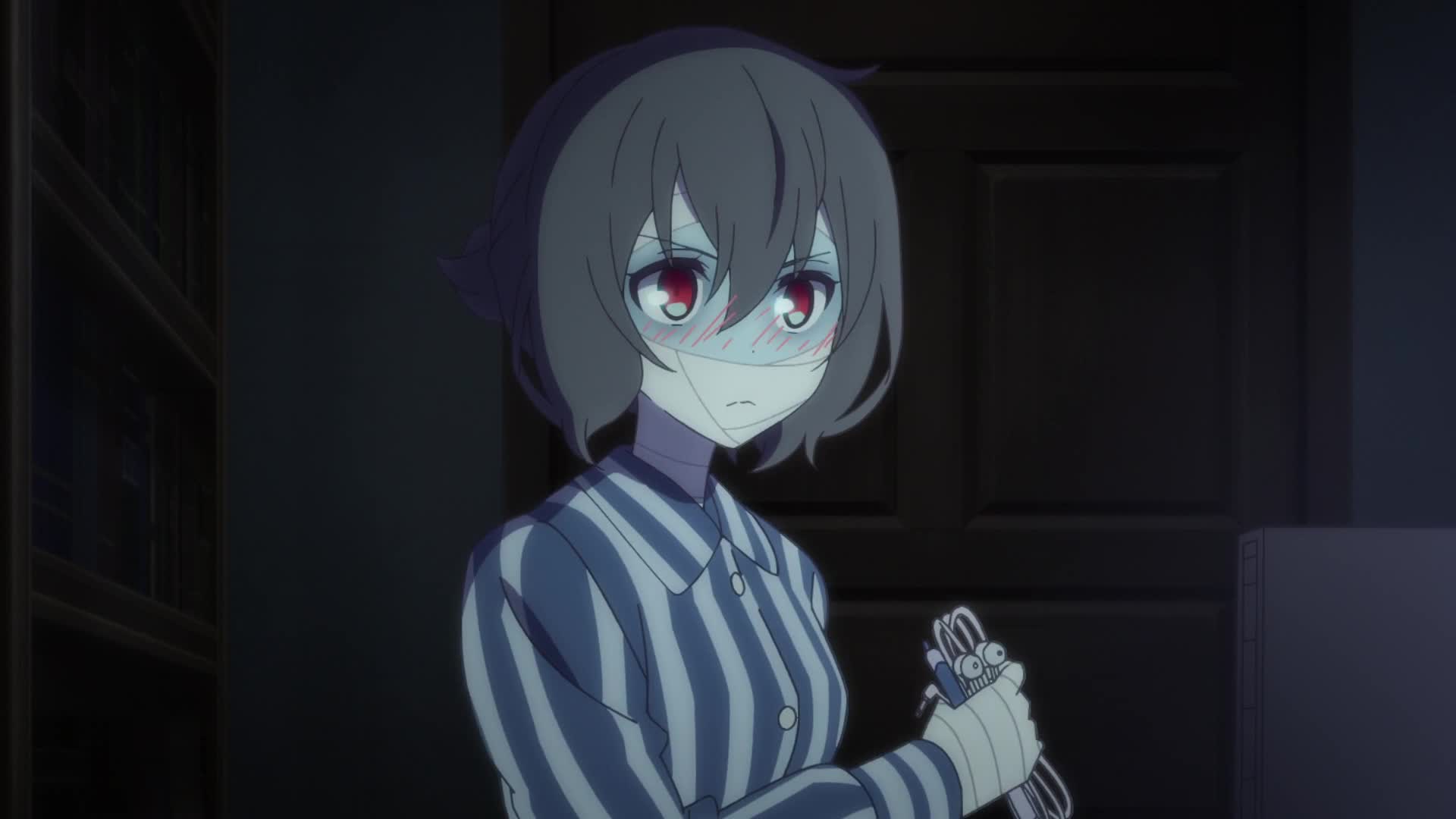 Zombieland Saga: Revenge (Dub)