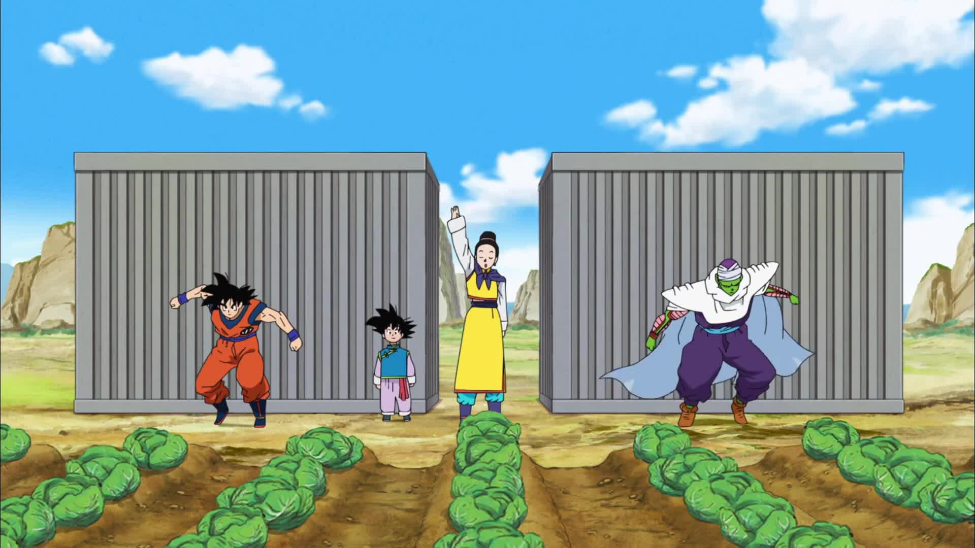 Dragon Ball Super (Dub)