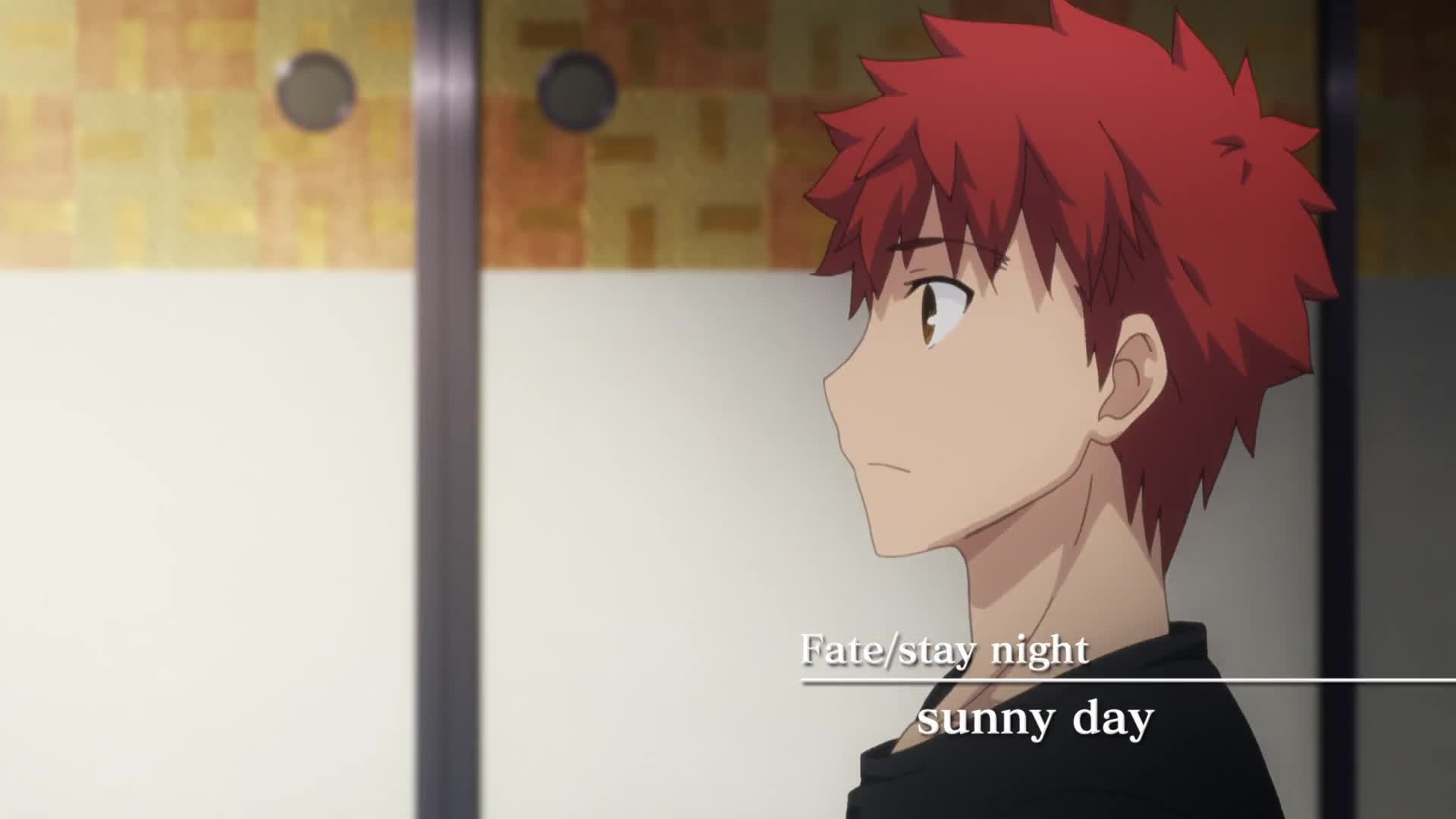 Fate/stay night: Unlimited Blade Works 2nd Season - Sunny Day (Dub)