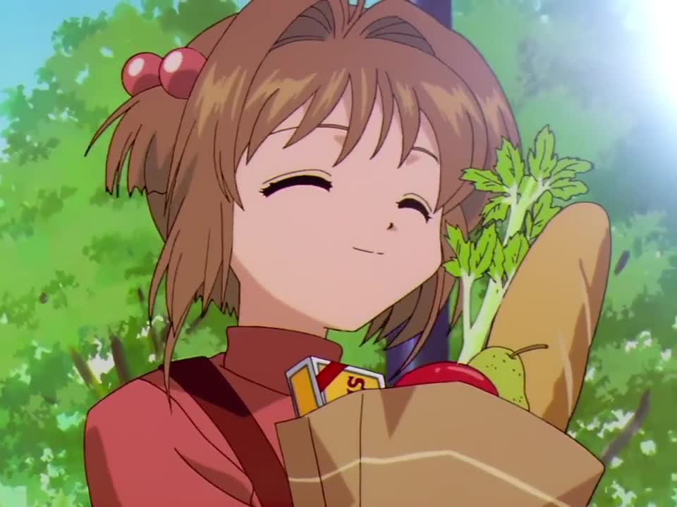 Cardcaptor Sakura (Dub)