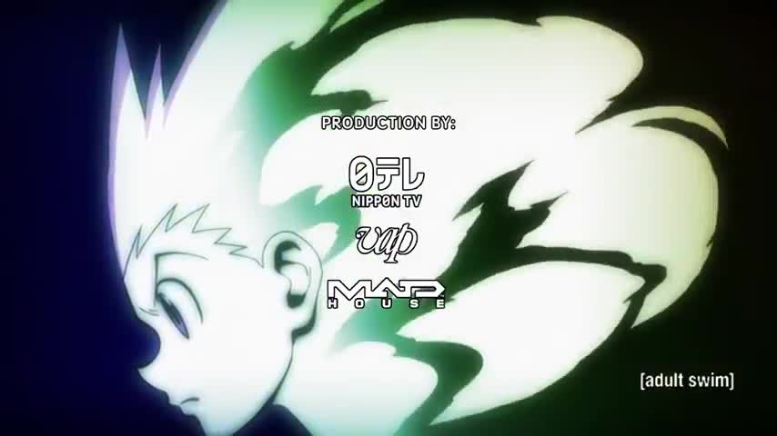 Hunter x Hunter 2011 (Dub)