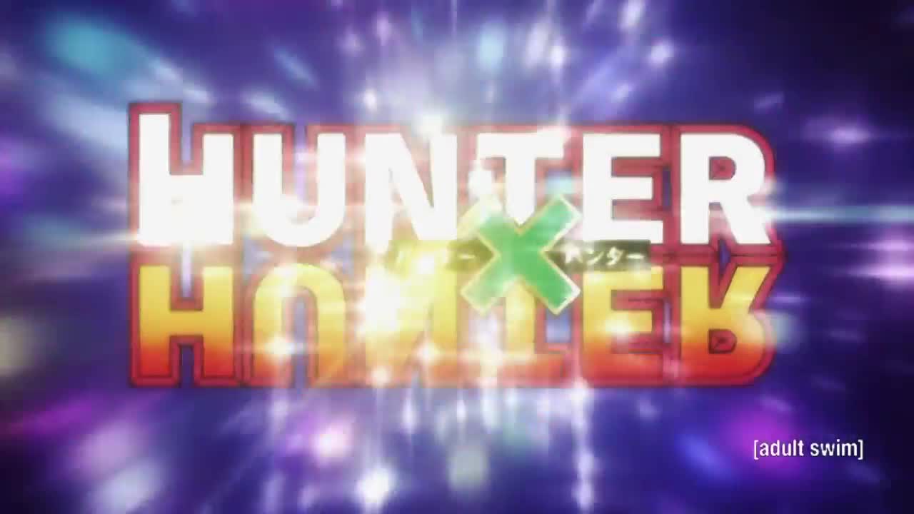 Hunter x Hunter 2011 (Dub)