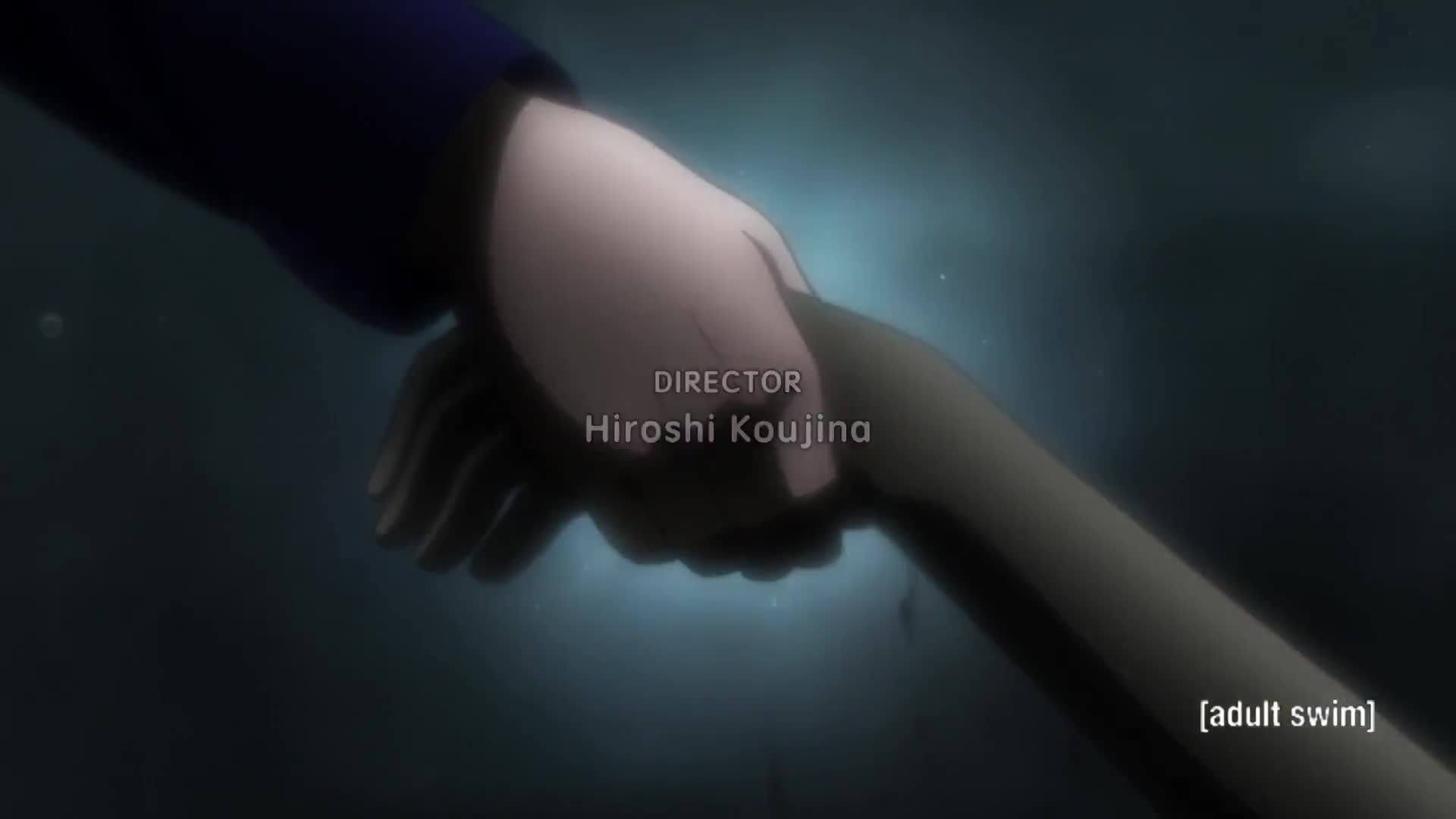 Hunter x Hunter 2011 (Dub)