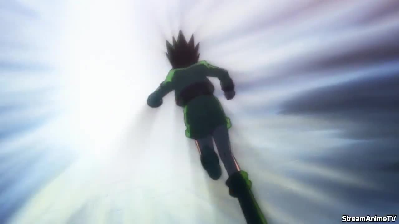 Hunter x Hunter 2011 (Dub)