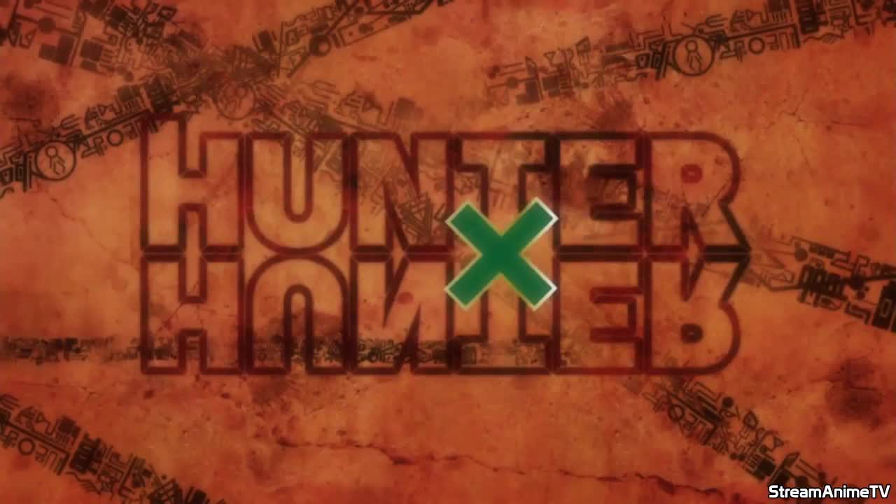 Hunter x Hunter 2011 (Dub)