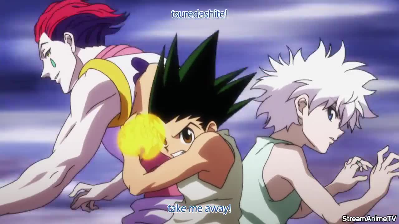 Hunter x Hunter 2011 (Dub)