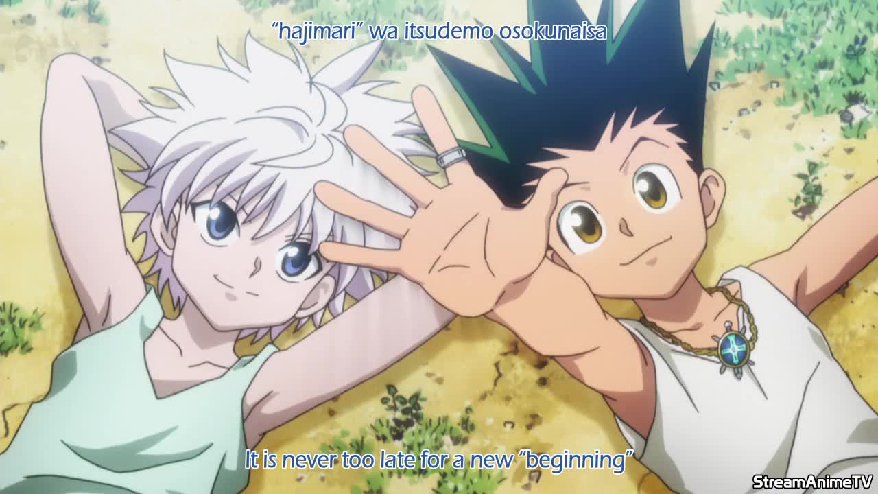 Hunter x Hunter 2011 (Dub)