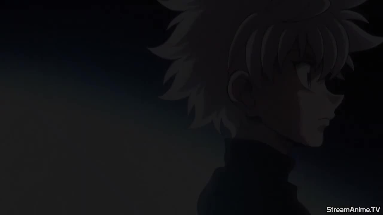 Hunter x Hunter 2011 (Dub)