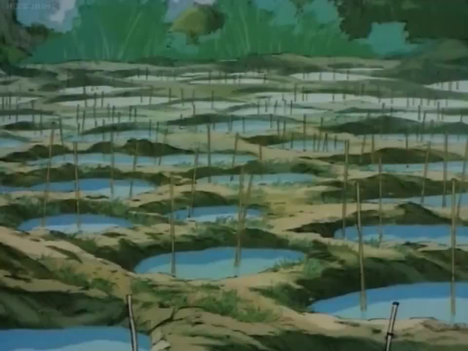 Ranma ½ (Dub)