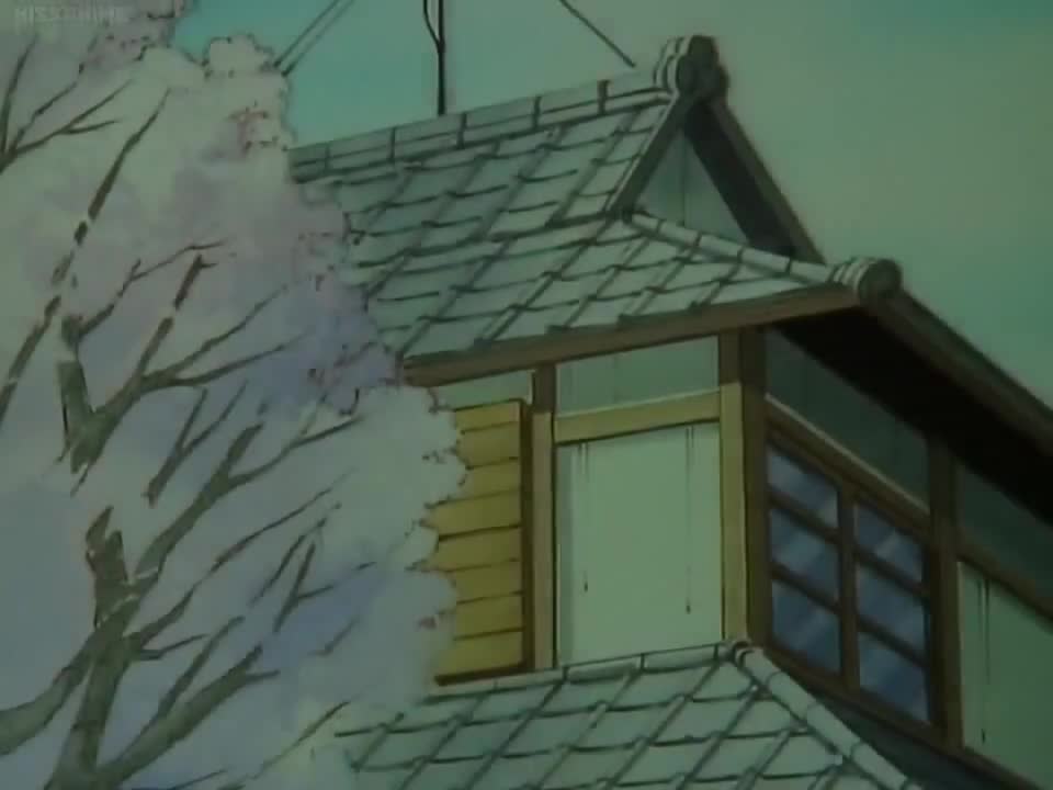 Ranma ½ (Dub)