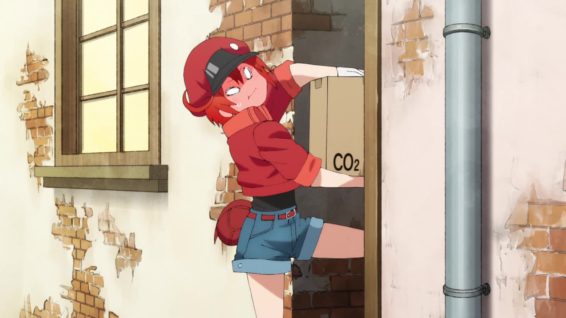 Hataraku Saibou (TV)