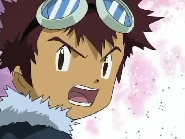 Digimon Adventure 02 (Dub)